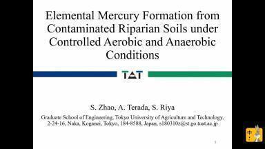 Effect of Redox Condition on Elemental Mercury Formation from Contaminated Riparian Soils and Responses of Relative Microorganisms